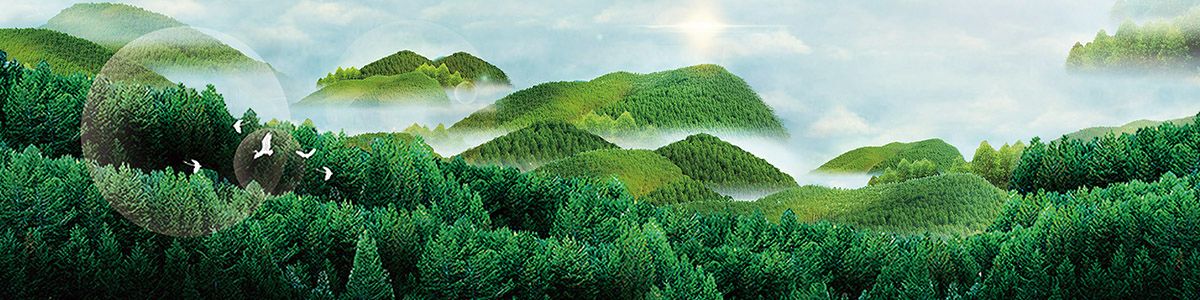 森林生態(tài)旅游